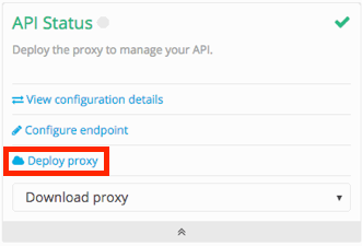 CloudHub proxy deployment screen